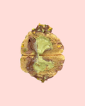 GF Choc Pistachio