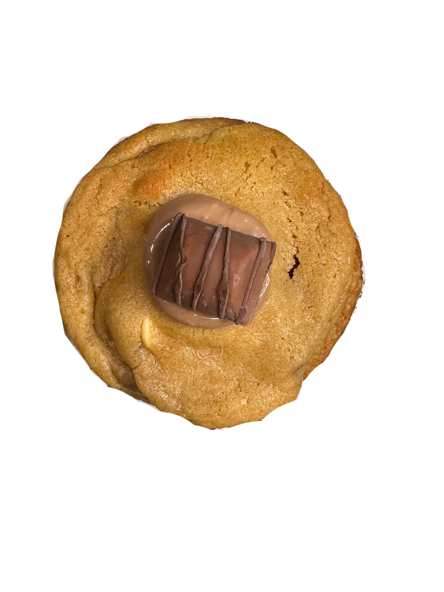 Bite Me Box